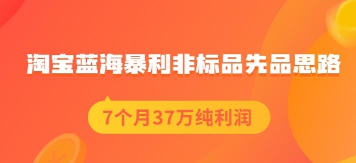 盗坤淘宝蓝海暴利非标品先品思路，7个月37万纯利润，压箱干货分享！【付费文章】-久创网