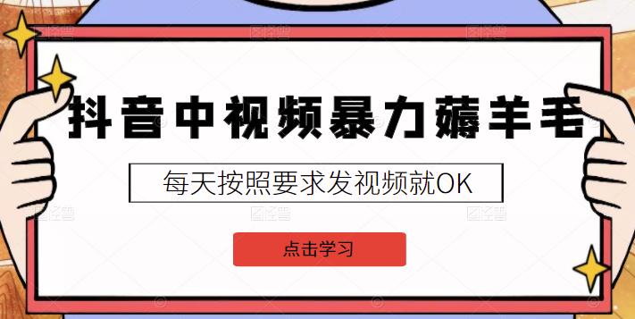 2022抖音中视频暴力薅羊毛白嫖项目：新号每天20块，老号几天几百块，可多号-久创网