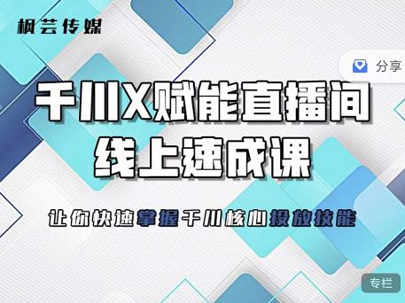 枫芸传媒-线上千川提升课，提升千川认知，提升千川投放效果-久创网