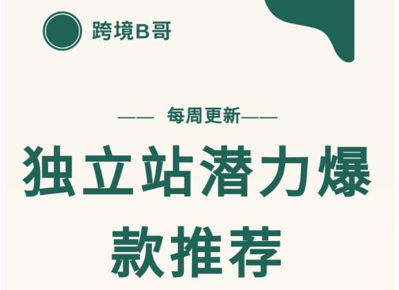 【跨境B哥】独立站潜力爆款选品推荐，测款出单率高达百分之80（每周更新）-久创网