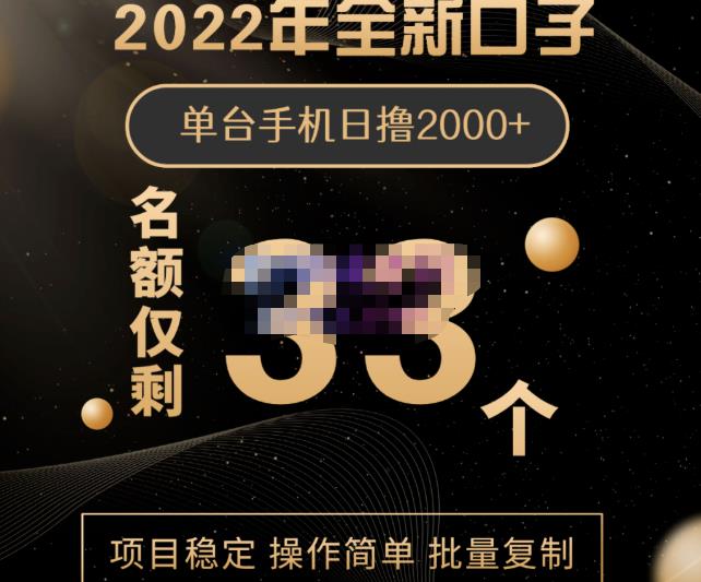 2022年全新口子，手机批量搬砖玩法，一部手机日撸2000-久创网