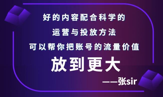 张sir账号流量增长课，告别海王流量，让你的流量更精准-久创网