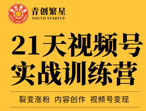 张萌21天视频号实战训练营，裂变涨粉、内容创作、视频号变现 价值298元-久创网