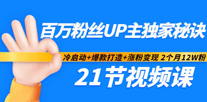 百万粉丝UP主独家秘诀：冷启动 爆款打造 涨粉变现2个月12W粉（21节视频课)-久创网