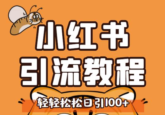 小红书运营引流全系列课程，每天引流100精准粉-久创网