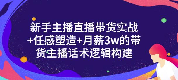 新手主播直播带货实战 信任感塑造 月薪3w的带货主播话术逻辑构建-久创网