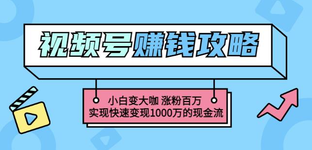 玩转微信视频号赚钱：小白变大咖涨粉百万实现快速变现1000万的现金流-久创网