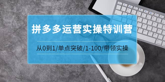 拼多多运营实操特训营：从0到1/单点突破/1-100/带领实操 价值2980元-久创网