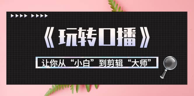 月营业额700万 大佬教您《玩转口播》让你从“小白”到剪辑“大师”-久创网