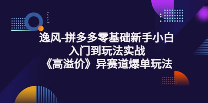 拼多多零基础新手小白入门到玩法实战《高溢价》异赛道爆单玩法实操课-久创网