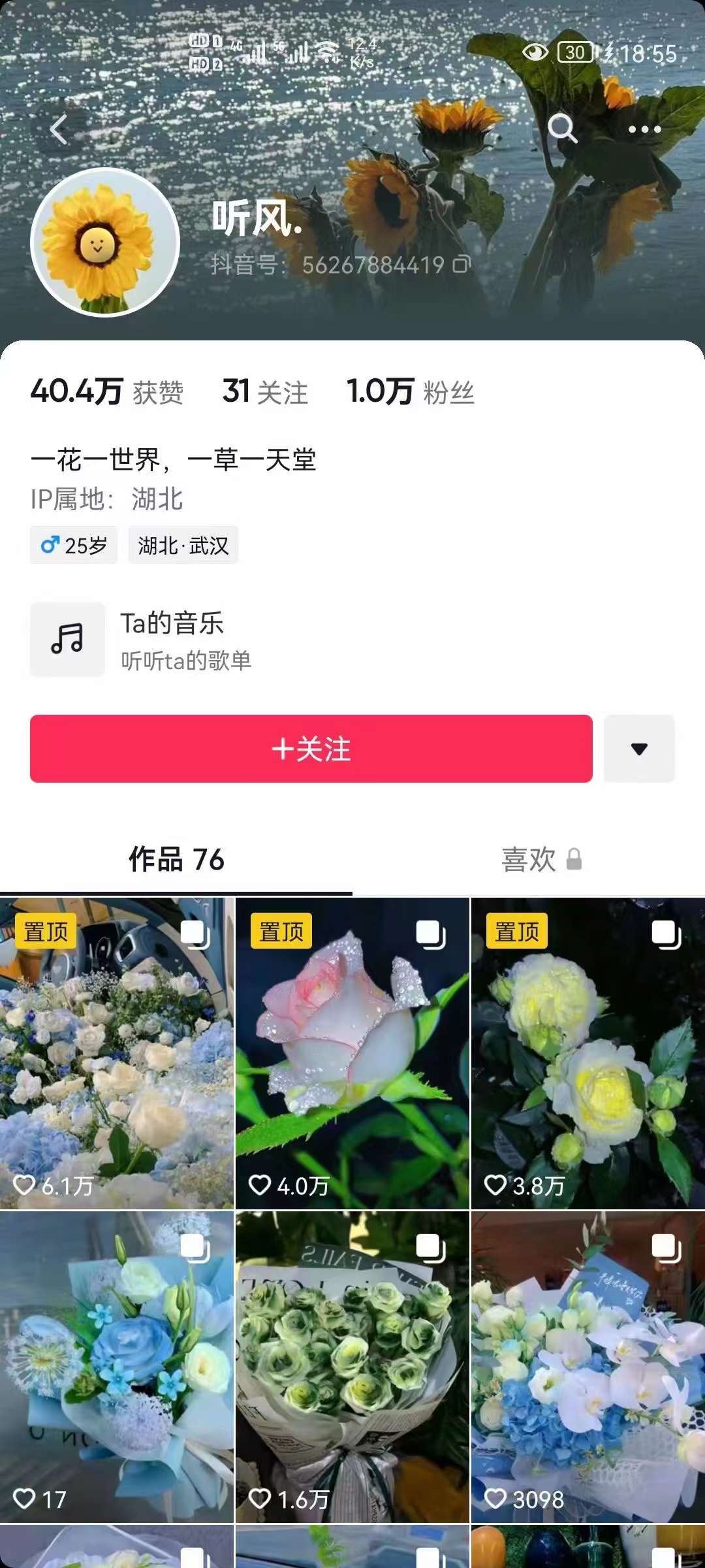 图片[2]-抖音壁纸变现项目：实战日入380 发布壁纸素材获取收益！-久创网