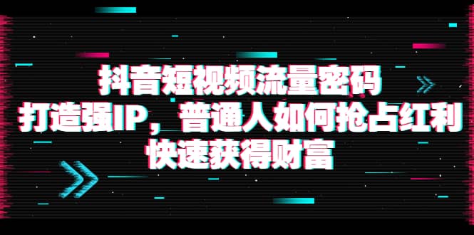 抖音短视频流量密码：打造强IP，普通人如何抢占红利，快速获得财富-久创网