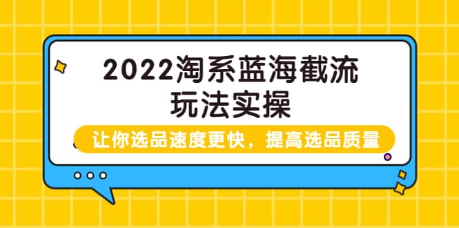 2022淘系蓝海截流玩法实操：让你选品速度更快，提高选品质量（价值599）-久创网