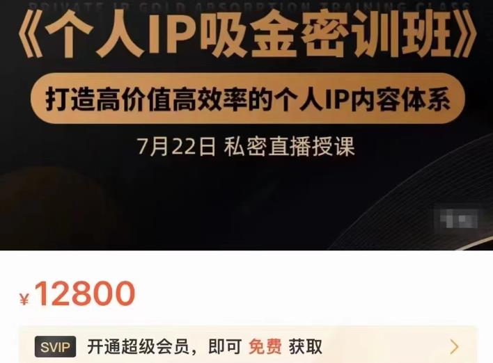 个人IP吸金密训班，打造高价值高效率的个人IP内容体系（价值12800元）-久创网