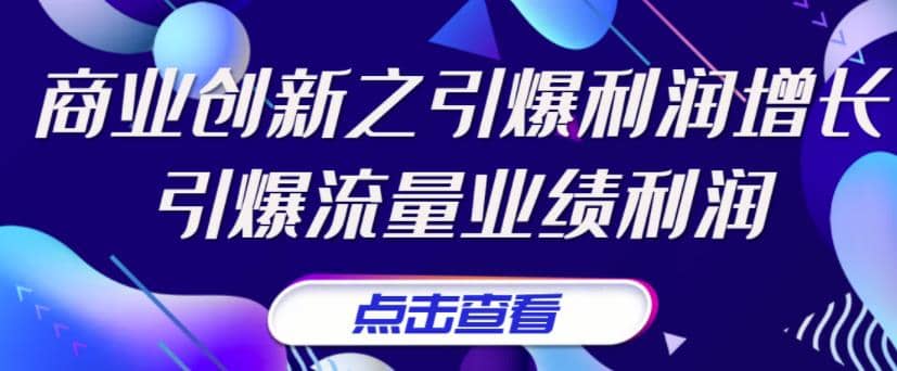 《商业创新之引爆利润增长》引爆流量业绩利润-久创网