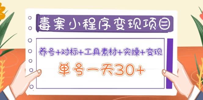 毒案小程序变现项目：养号 对标 工具素材 实操 变现-久创网