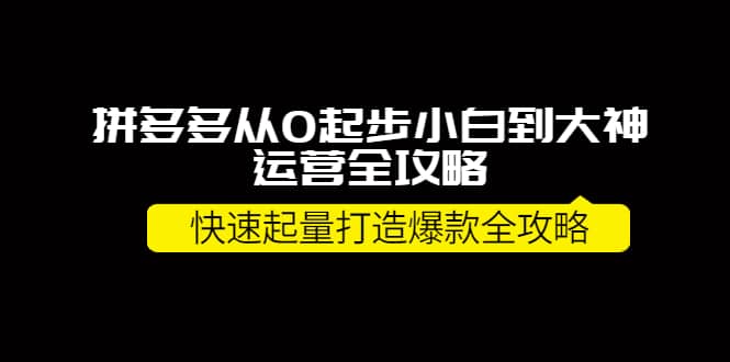 拼多多从0起步小白到大神运营全攻略-久创网