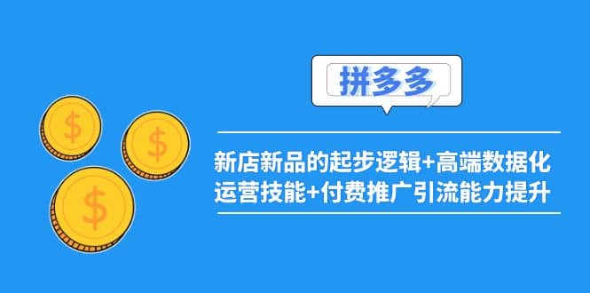 2022拼多多：新店新品的起步逻辑 高端数据化运营技能 付费推广引流能力提升-久创网