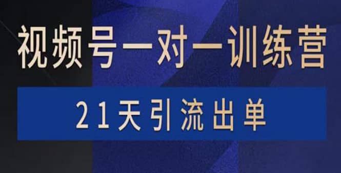 视频号训练营：带货，涨粉，直播，游戏，四大变现新方向，21天引流出单-久创网