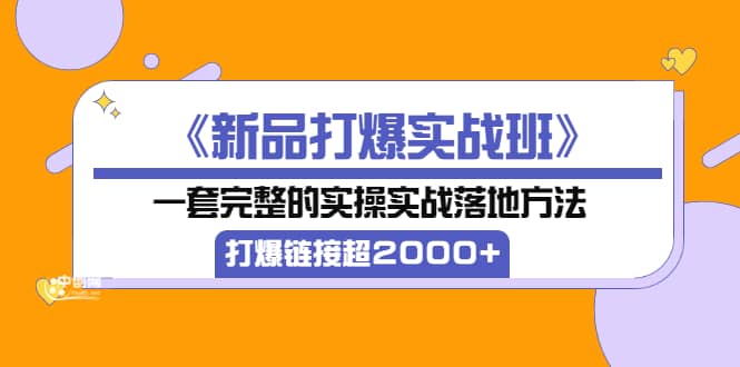 《新品打爆实战班》一套完整的实操实战落地方法，打爆链接超2000 （38节课)-久创网