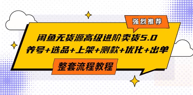 闲鱼无货源高级进阶卖货5.0，养号 选品 上架 测款 优化 出单整套流程教程-久创网