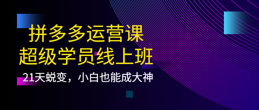 拼多多运营课：超级学员线上班，21天蜕变，小白也能成大神-久创网