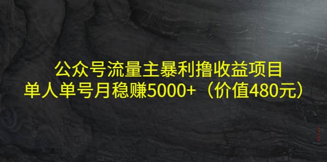 公众号流量主暴利撸收益项目，单人单号月稳赚5000 （价值480元）-久创网