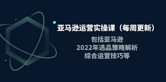 亚马逊运营实操课（每周更新）包括亚马逊2022选品策略解析，综合运营技巧等-久创网