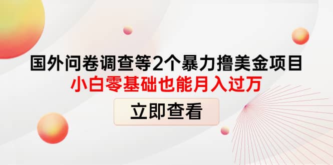 国外问卷调查等2个暴力撸美元项目，小白零基础也能月入过万-久创网