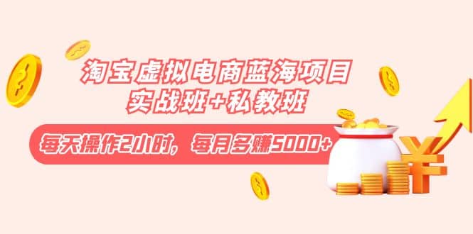 淘宝虚拟电商蓝海项目实战班 私教班-久创网