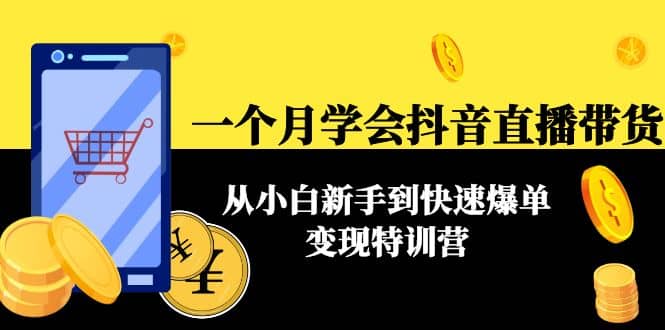 一个月学会抖音直播带货：从小白新手到快速爆单变现特训营(63节课)-久创网