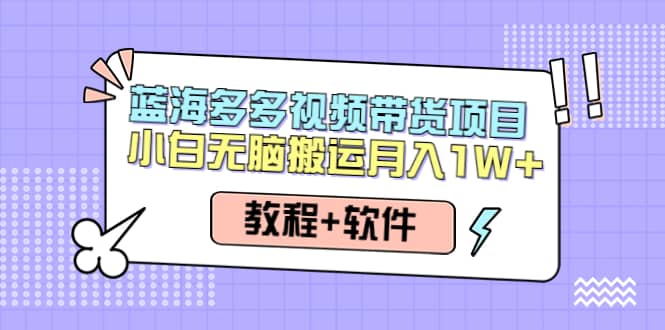 人人都能操作的蓝海多多视频带货项目 小白无脑搬运（教程 软件）-久创网