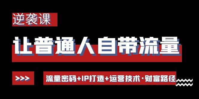 让普通人自带流量的逆袭课：流量密码 IP打造 运营技术·财富路径-久创网