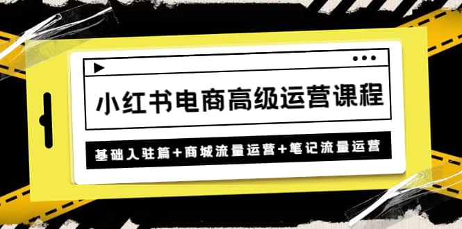 小红书电商高级运营课程：基础入驻篇 商城流量运营 笔记流量运营-久创网