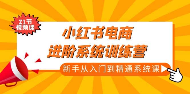 小红书电商进阶系统训练营：新手从入门到精通系统课（21节视频课）-久创网