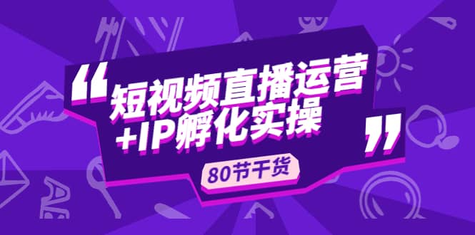 短视频直播运营 IP孵化实战：80节干货实操分享-久创网