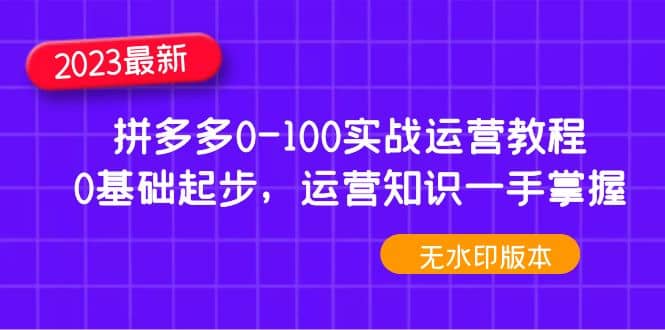 2023拼多多0-100实战运营教程，0基础起步，运营知识一手掌握（无水印）-久创网