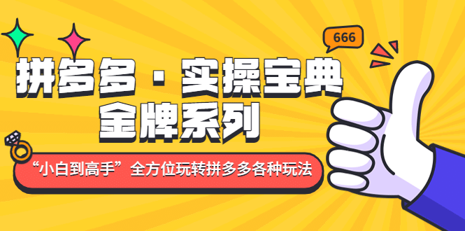 拼多多·实操宝典：金牌系列“小白到高手”带你全方位玩转拼多多各种玩法-久创网