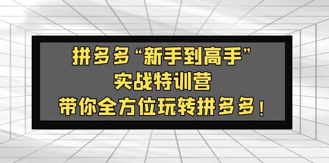 拼多多“新手到高手”实战特训营：带你全方位玩转拼多多-久创网