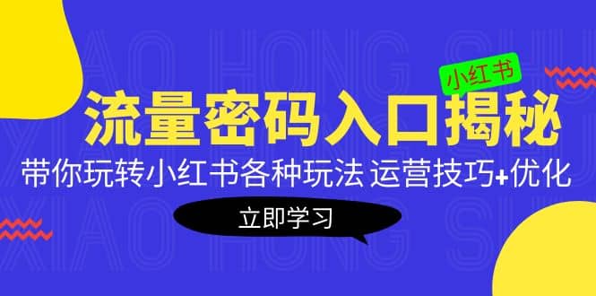 小红书流量密码入口揭秘：带你玩转小红书各种玩法 运营技巧 优化-久创网