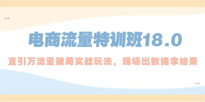 电商流量特训班18.0，直引万流量破局实操玩法，现场出数据拿结果-久创网