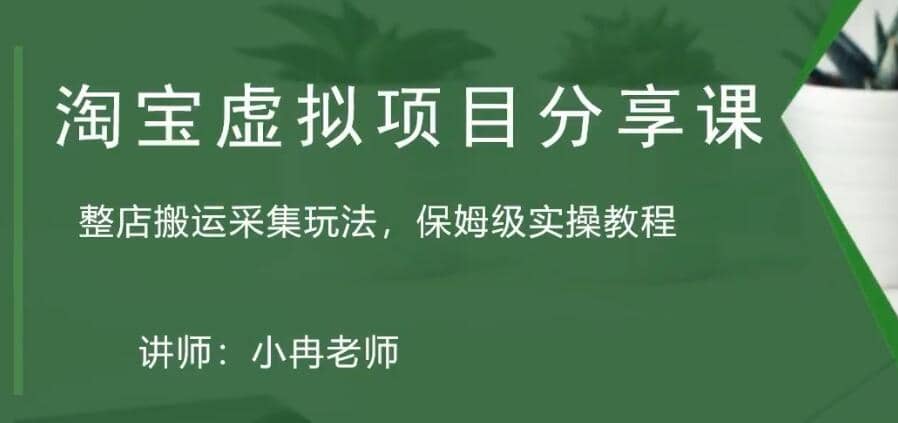 淘宝虚拟整店搬运采集玩法分享课：整店搬运采集玩法，保姆级实操教程-久创网