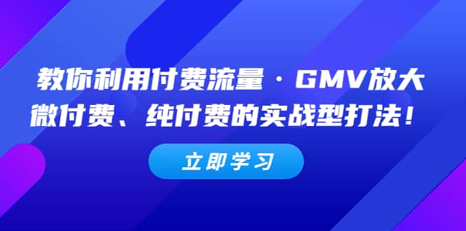 教你利用付费流量·GMV放大，微付费、纯付费的实战型打法-久创网