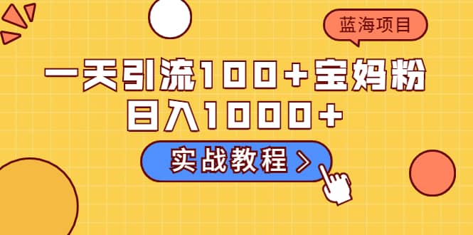 一天引流100 宝妈粉，日入1000 的蓝海项目（实战教程）-久创网