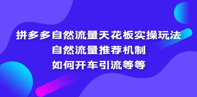 拼多多自然流量天花板实操玩法：自然流量推荐机制，如何开车引流等等-久创网