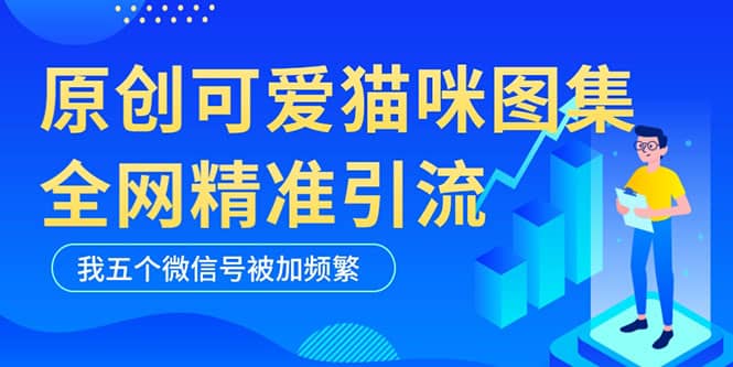 黑科技纯原创可爱猫咪图片，全网精准引流，实操5个VX号被加频繁-久创网