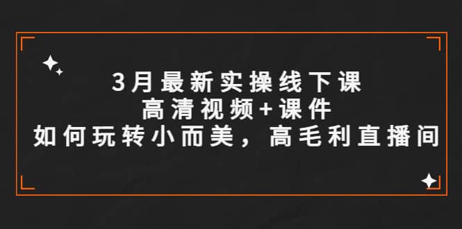 3月最新实操线下课高清视频 课件，如何玩转小而美，高毛利直播间-久创网