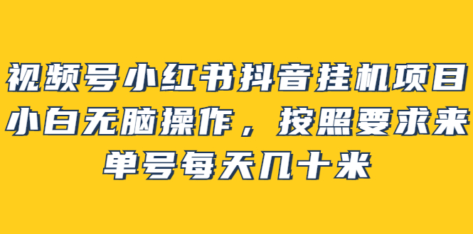 视频号小红书抖音挂机项目，小白无脑操作，按照要求来，单号每天几十米-久创网