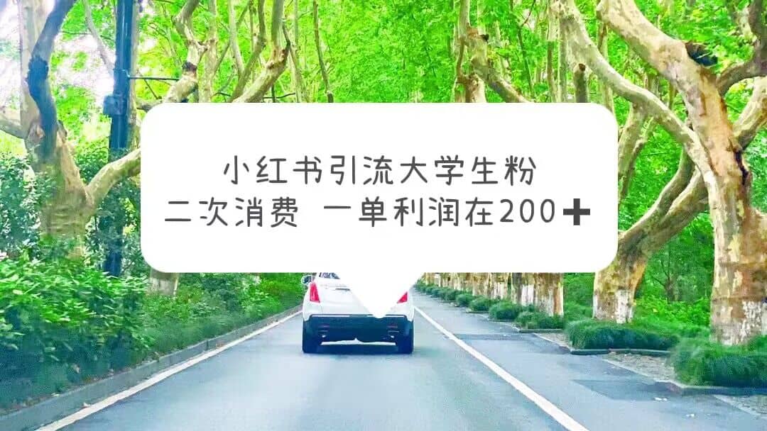 小红书引流大学生粉，变现项目，一单利润在200 （教程 资源）-久创网