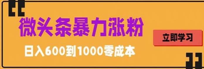 微头条暴力涨粉技巧搬运文案就能涨几万粉丝，简单0成本，日赚600-久创网